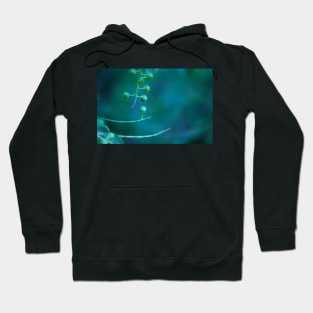 Green Berries #2 Hoodie